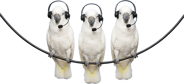 Simple, clear, dependable calling Image of Birds with headphones
