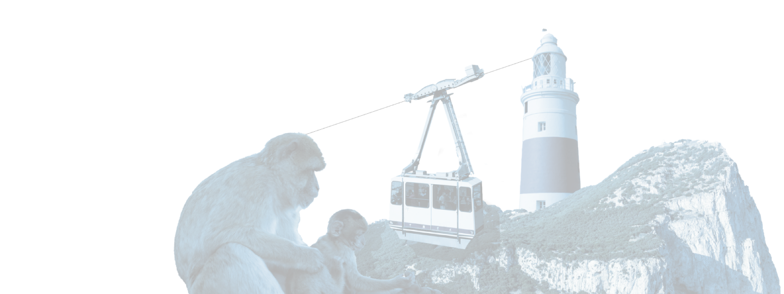 Tourist Data SIM Tourist Data SIM Image