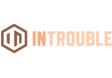 Introuble Logo